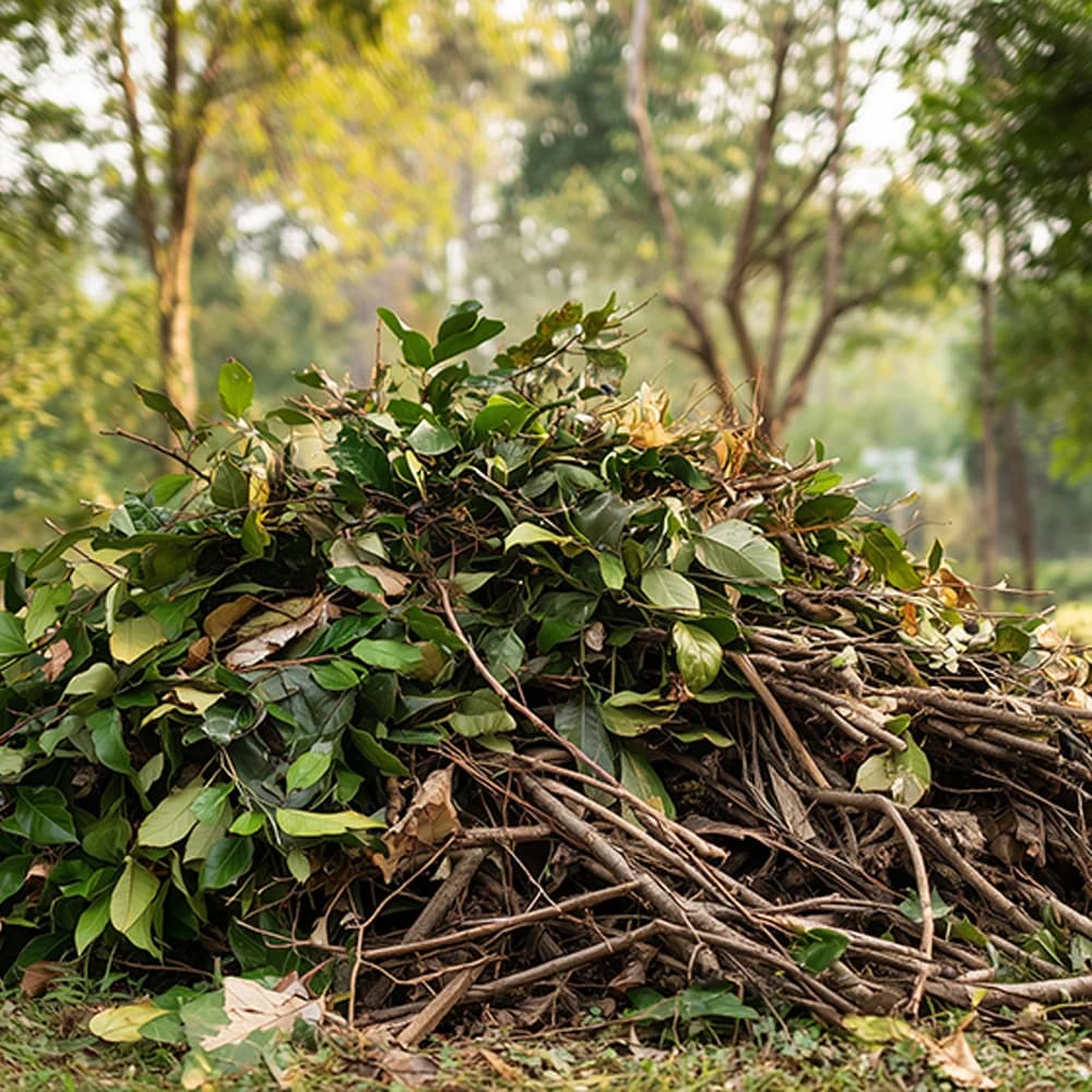 Évacuation des déchets verts