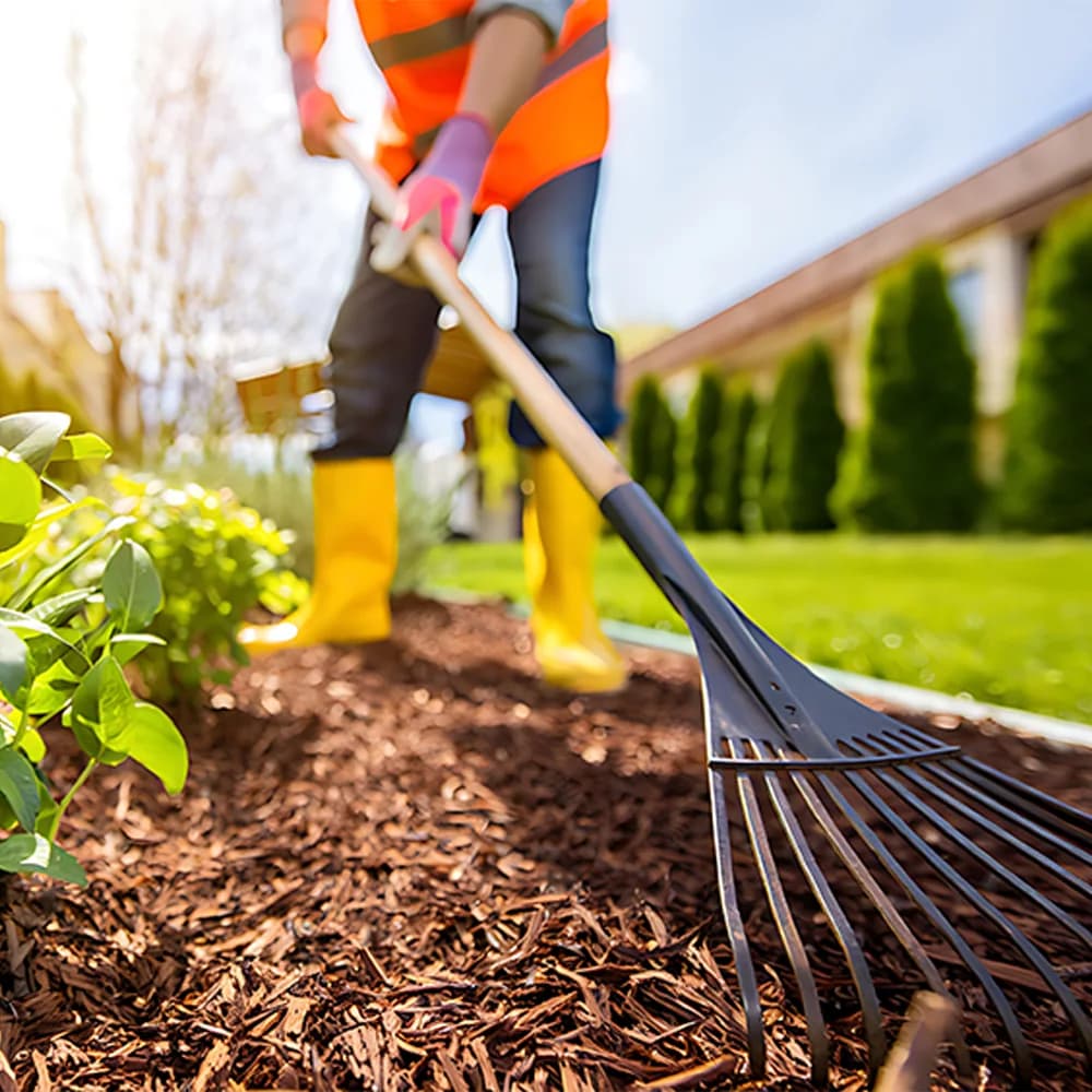Entretien de jardin
